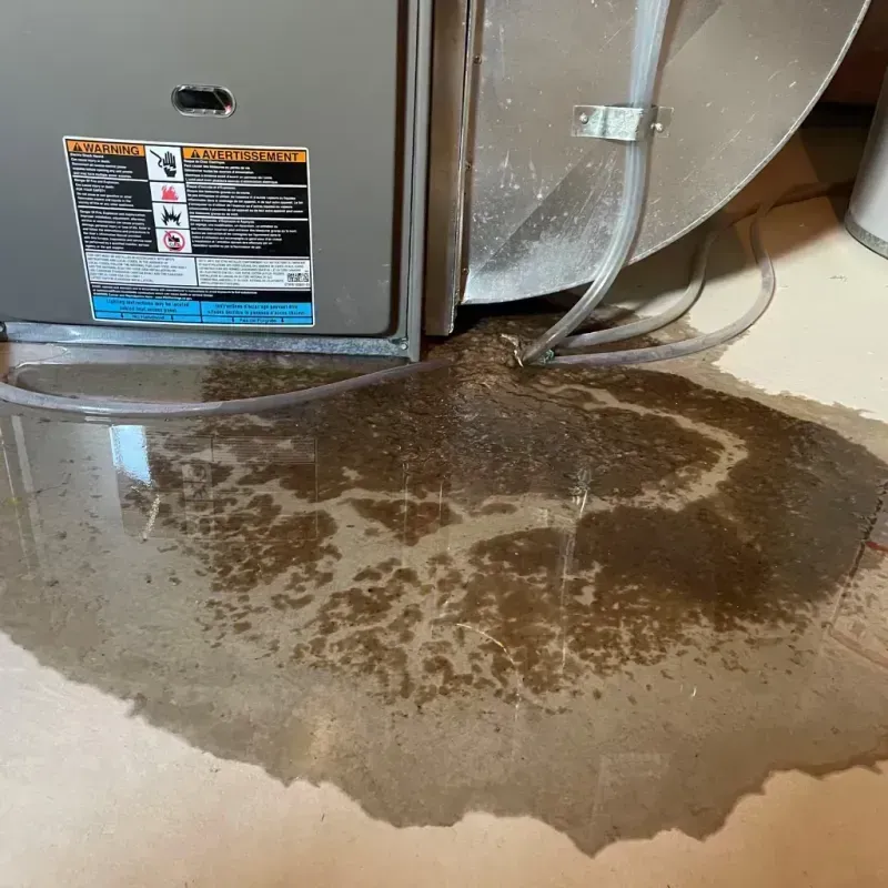 Appliance Leak Cleanup in Midway, UT